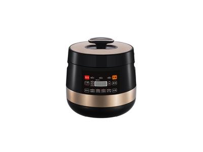 Electric pressure cooker