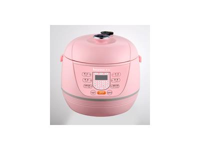 Electric pressure cooker