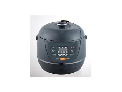 Electric pressure cooker