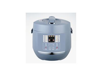 Electric pressure cooker