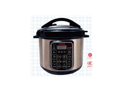 Electric pressure cooker