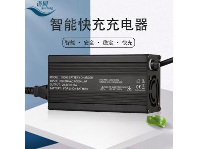 C600B lithium lifepo4 battery charger 43.8V 12S 36V13A for Electric Motorcycle, Scooter, E