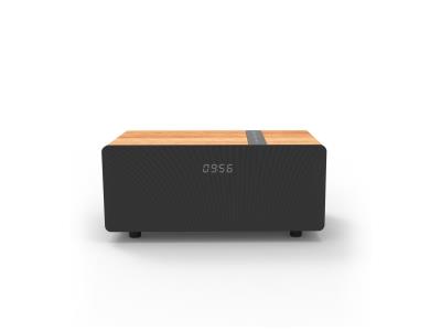 F5-30W desktop bluetooth speaker