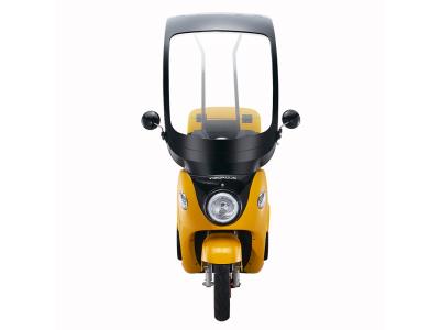 A30 2000W 3 Wheel Electric Scooter Balance Delivery Motorcycle with Roof