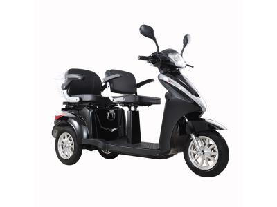 T409-2 EEC 1000W 2 Seats 3 Wheel Electric Mobility Scooter for Passenger