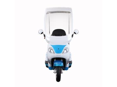 T418S China Electric Scooter 3 Wheels Electric Tricycle with Roof  
