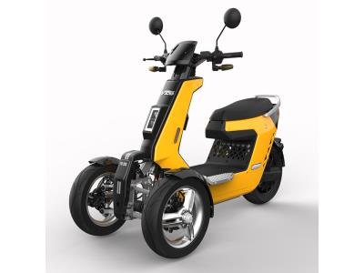 V28 72V 2000W 3000W Power Reverse Three Wheel Electric Motorcycle for Adult