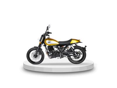 QM125-2X DIRT Track New Published Retro Motorcycle