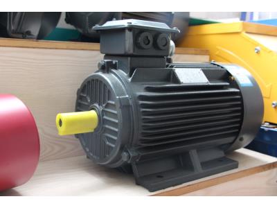 Y2 three phase electric motor 