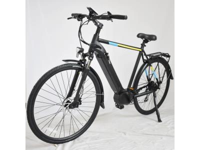 city ebike for men driving