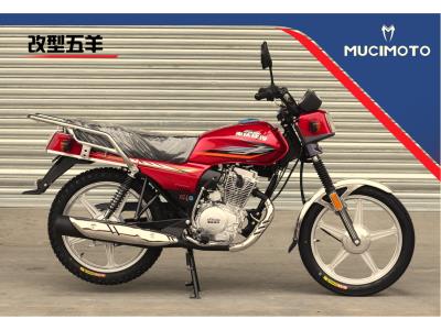 MOTORCYCLE WY-125/150/200
