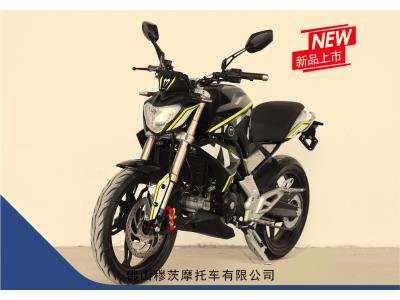 MOTORCYCLE XS-125/150/200