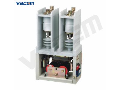 7.2(12)kV Two poles AC vacuum contactor(CKG3)