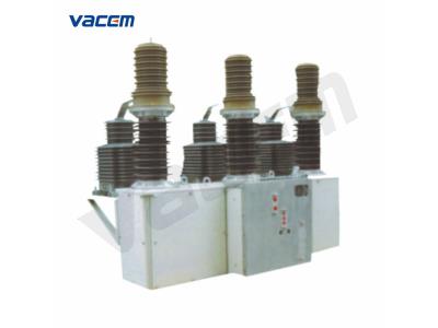 40.5kv Outdoor High Voltage Vacuum Circuit Breaker(ZW37)