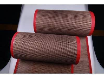 PTFE MESH BELT