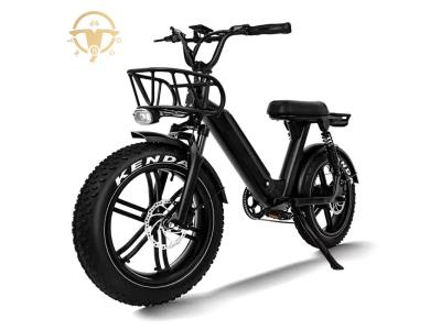 High Performance 20 Inch 750W Full Suspension Electric Fat Tire Electric Bike for Adult
