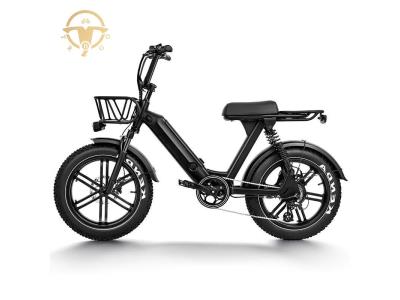 High Performance 20 Inch 750W Full Suspension Electric Fat Tire Electric Bike for Adult