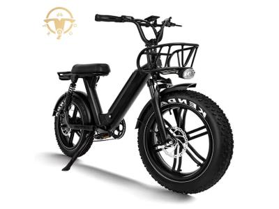 High Performance 20 Inch 750W Full Suspension Electric Fat Tire Electric Bike for Adult