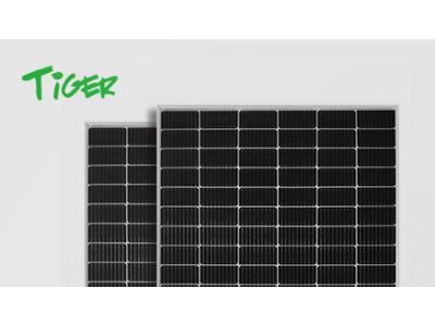 435-455W P-Type 72 Half Cell Bifacial Module With Dual Glass Tiger LM 72HC-BDVP