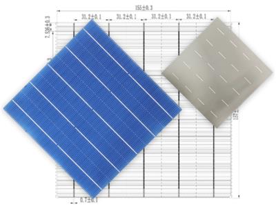 157 Poly Solar Cell (5BB-Half)