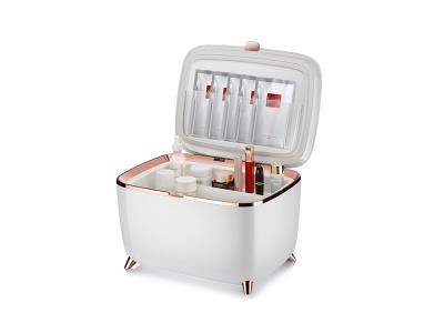 Portable personalized mini fridge 10L home cosmetic fridge Mini Refrigerator