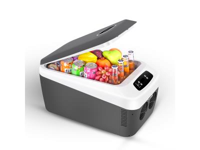 12/24 liter 12V 240v Portable camping electric cooler box car refrigerator mini fridge