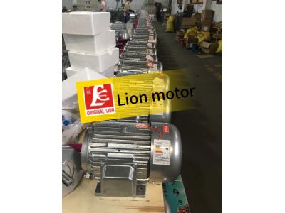 Y  SERIES THREE PHASE induction motor