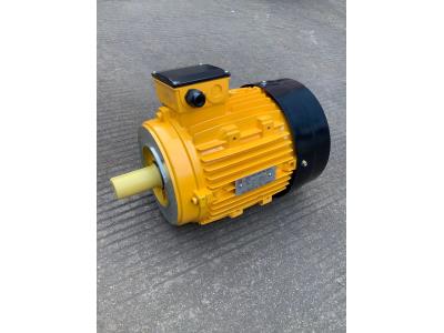 MS  SERIES THREE PHASE induction motor 