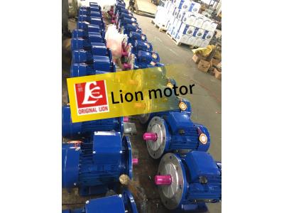 MS  SERIES THREE PHASE induction motor 