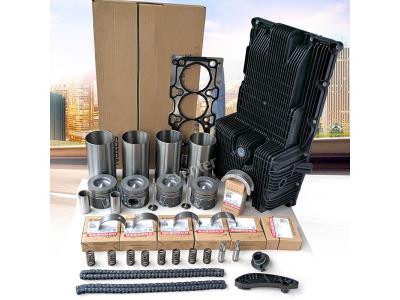 Diesel Engine Piston Kit