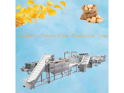 500kg/h Frozen French Fries Production Line Price