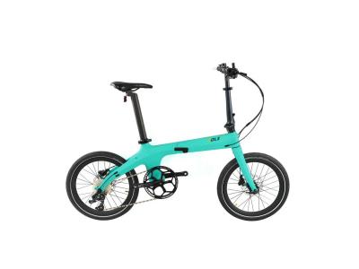 ole Non-E Carbon Fiber Bike
