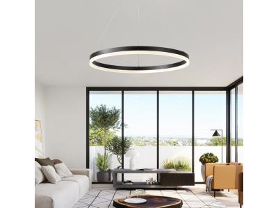 Pendant Lights/Ceiling Lamp