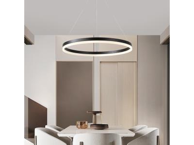 Pendant Lights/Ceiling Lamp