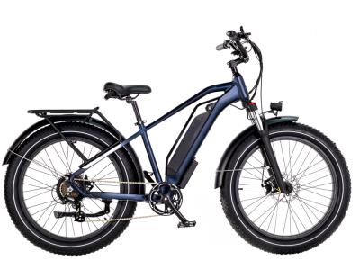 Fat tyre ebike MB-EB205S