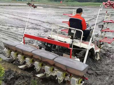 rice seeder sowing machine 8 rows and 10 rows