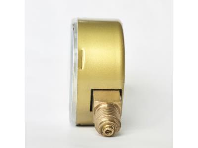 WESEN 60mm golden case pressure gauge 16 bar