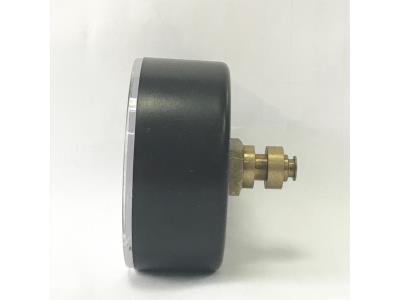 WESEN 60mm plastic pressure gauge 12bar back connection precise pointer