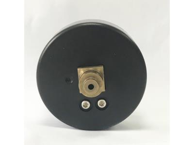 WESEN 60mm plastic pressure gauge 12bar back connection precise pointer
