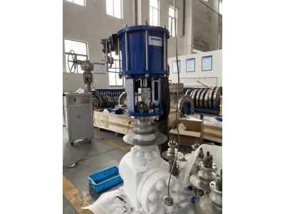 Standard Hydraulic Actuator / Rotary Air Cylinder Actuator Various Mounting Style