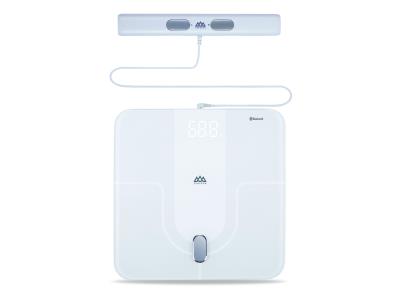 Bluetooth Body Fat Scale / IF2802A
