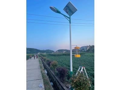 Solar insecticidal lamp