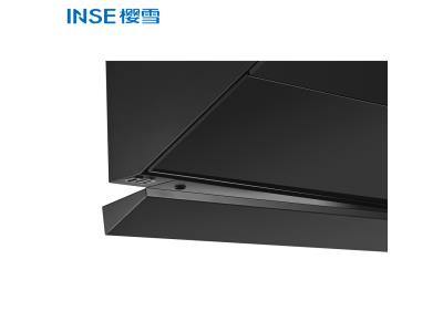 Modern European Style Range Hood Appliances For Kitchen Chimney CXW-188-ZK2109(B)