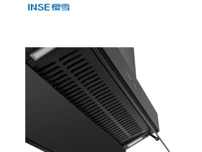 Modern European Style Range Hood Appliances For Kitchen Chimney CXW-188-ZK2109(B)