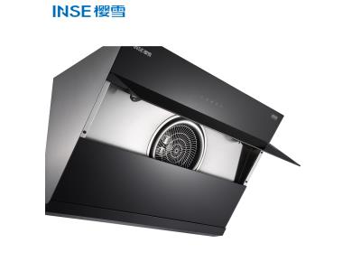 2022 wholesale China factory delicate kitchen range hood Led light CXW-300-H1809(B)