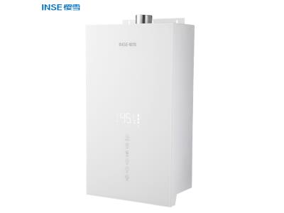 INSE home appliance instant hot water heater force type gas water  heater QH2102