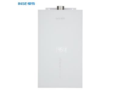 INSE home appliance instant hot water heater force type gas water  heater QH2102