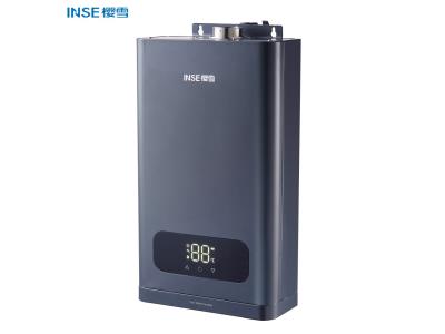 Forced exhaust type  gas water heater gas constant temperature for household QH2005
