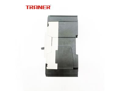 TRMF1 Frame.63A 2P DIN Rail and Screw Mounting, High Breaker Capacity MCCB