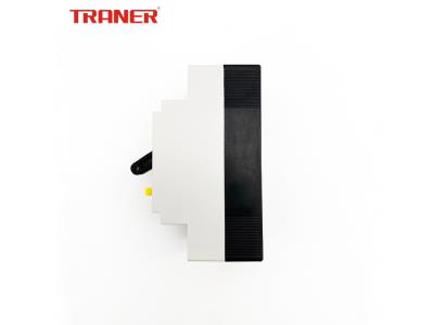 TNB1L-32(c) 32A Water Heater RCCB 32A, Nt50le Earth Leakage Protect Breaker
